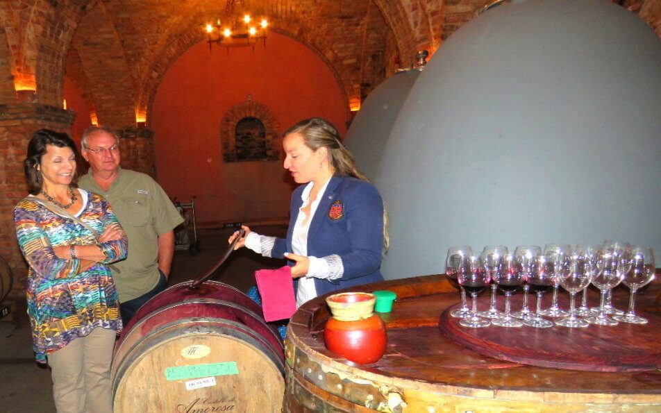 Cave + Barrel -Wine-Tasting -Tour-Castle-Winery.jpeg
